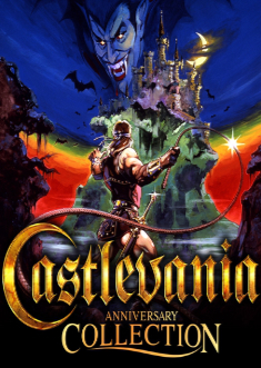 Castlevania Anniversary Collection CODEX