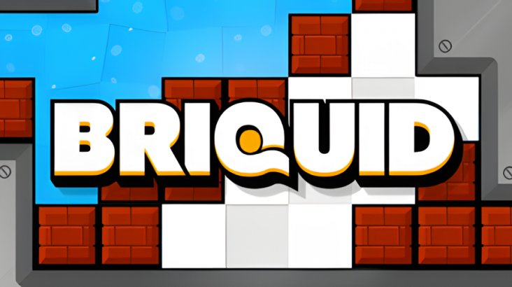 Briquid