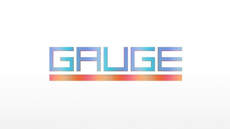 Gauge
