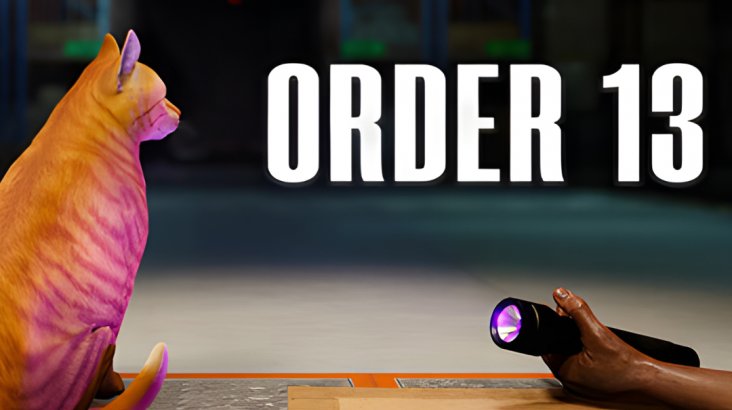 ORDER 13