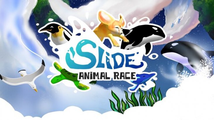 Slide — Animal Race